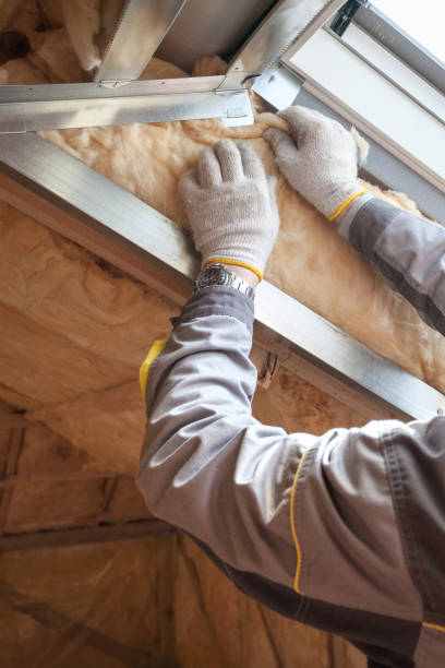 Best Residential Insulation in Pflugerville, TX