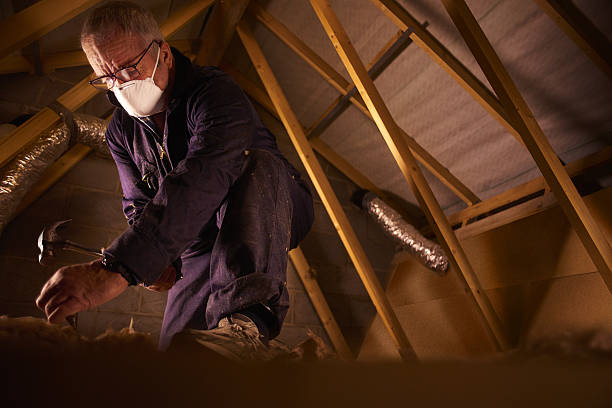 Best Specialized Insulation Services in Pflugerville, TX