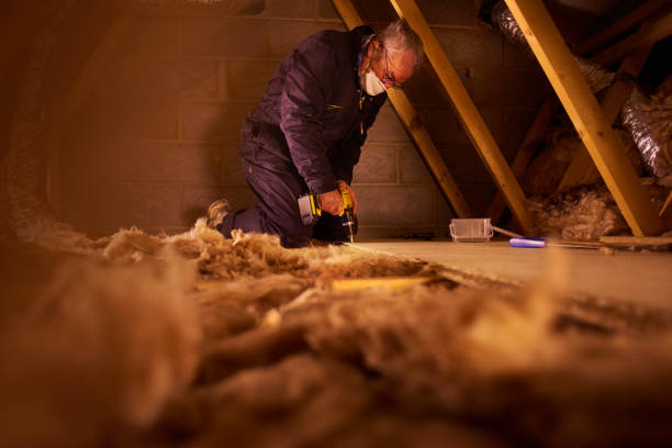 Best Spray Foam Insulation in Pflugerville, TX